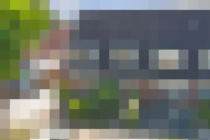 Robbekampen 8 Dreumel thumbnail 36