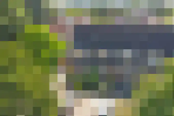 Robbekampen 8 Dreumel thumbnail 37