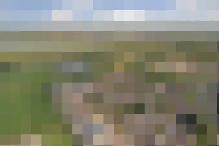 Robbekampen 8 Dreumel thumbnail 38