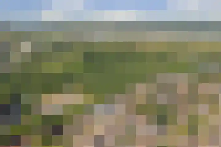 Robbekampen 8 Dreumel thumbnail 39