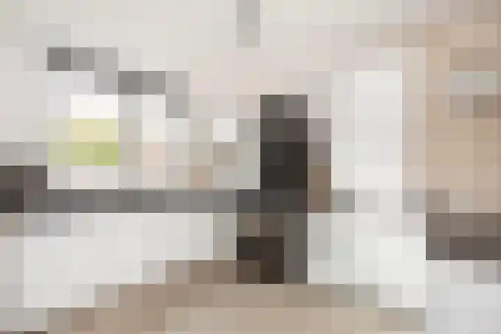 Robbeknolerf 16 Amersfoort thumbnail 10