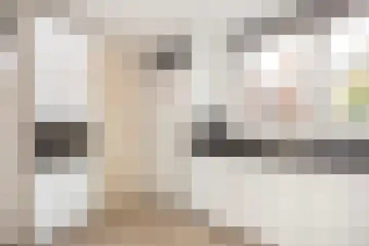 Robbeknolerf 16 Amersfoort thumbnail 12