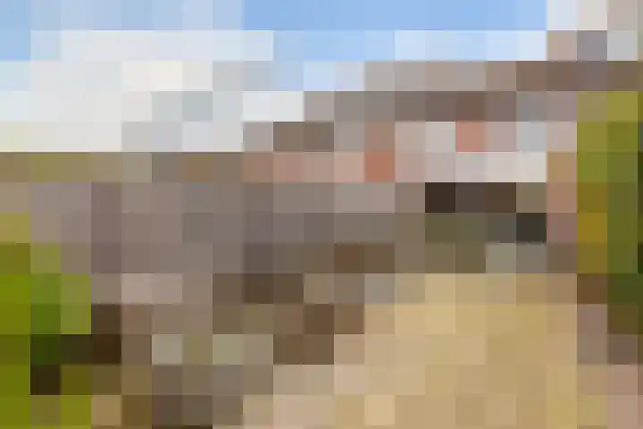 Robbeknolerf 16 Amersfoort thumbnail 13