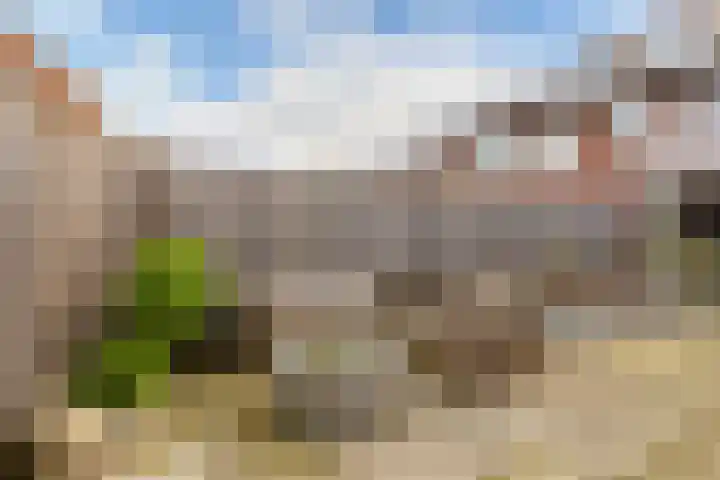Robbeknolerf 16 Amersfoort thumbnail 14