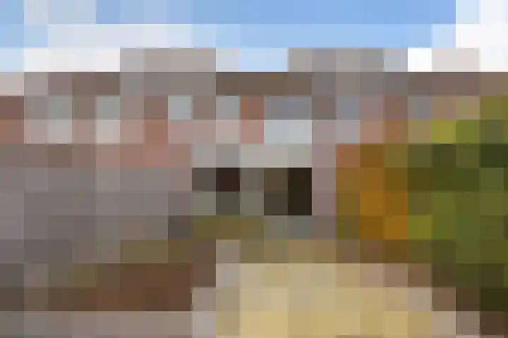 Robbeknolerf 16 Amersfoort thumbnail 16