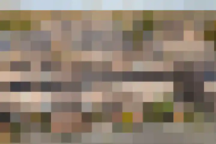 Robbeknolerf 16 Amersfoort thumbnail 32