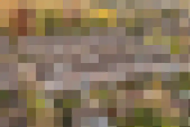Robbeknolerf 16 Amersfoort thumbnail 33