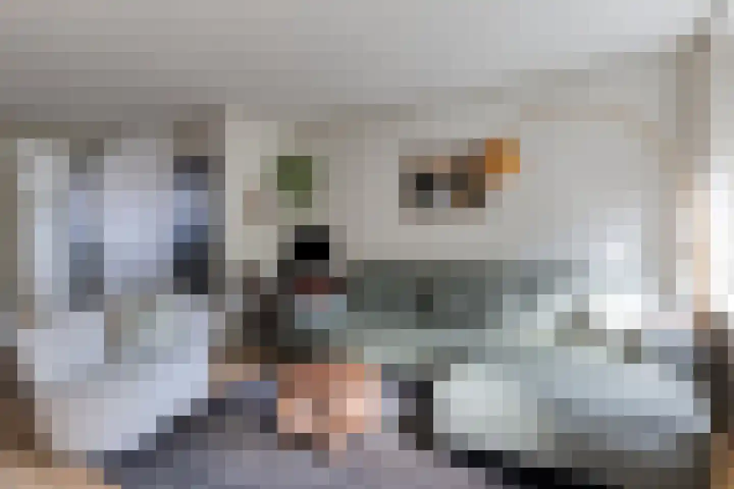 Robbeknolerf 45 Amersfoort thumbnail 15