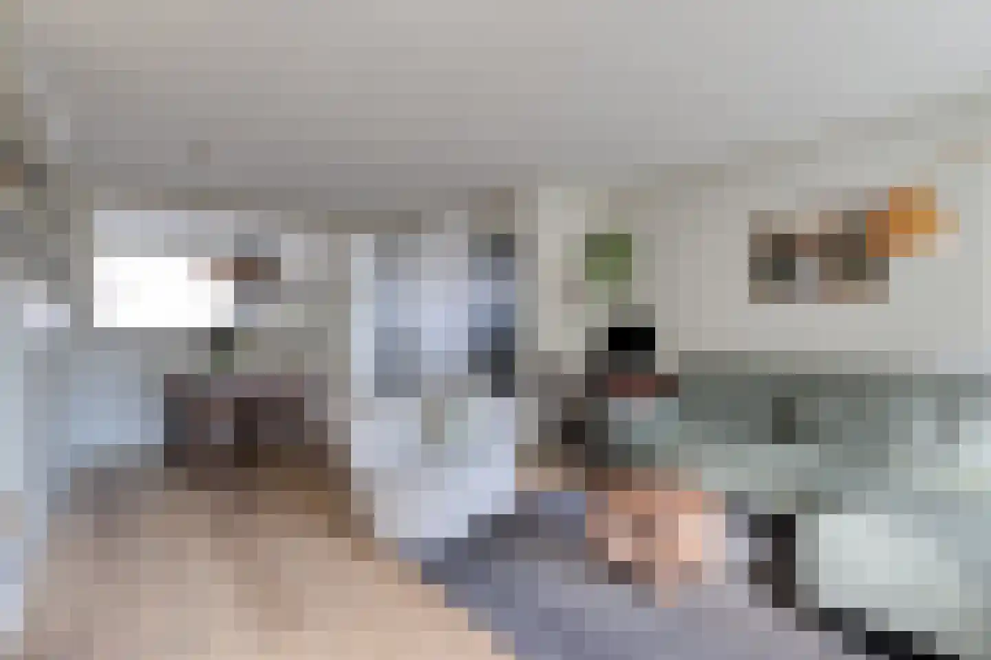 Robbeknolerf 45 Amersfoort thumbnail 17