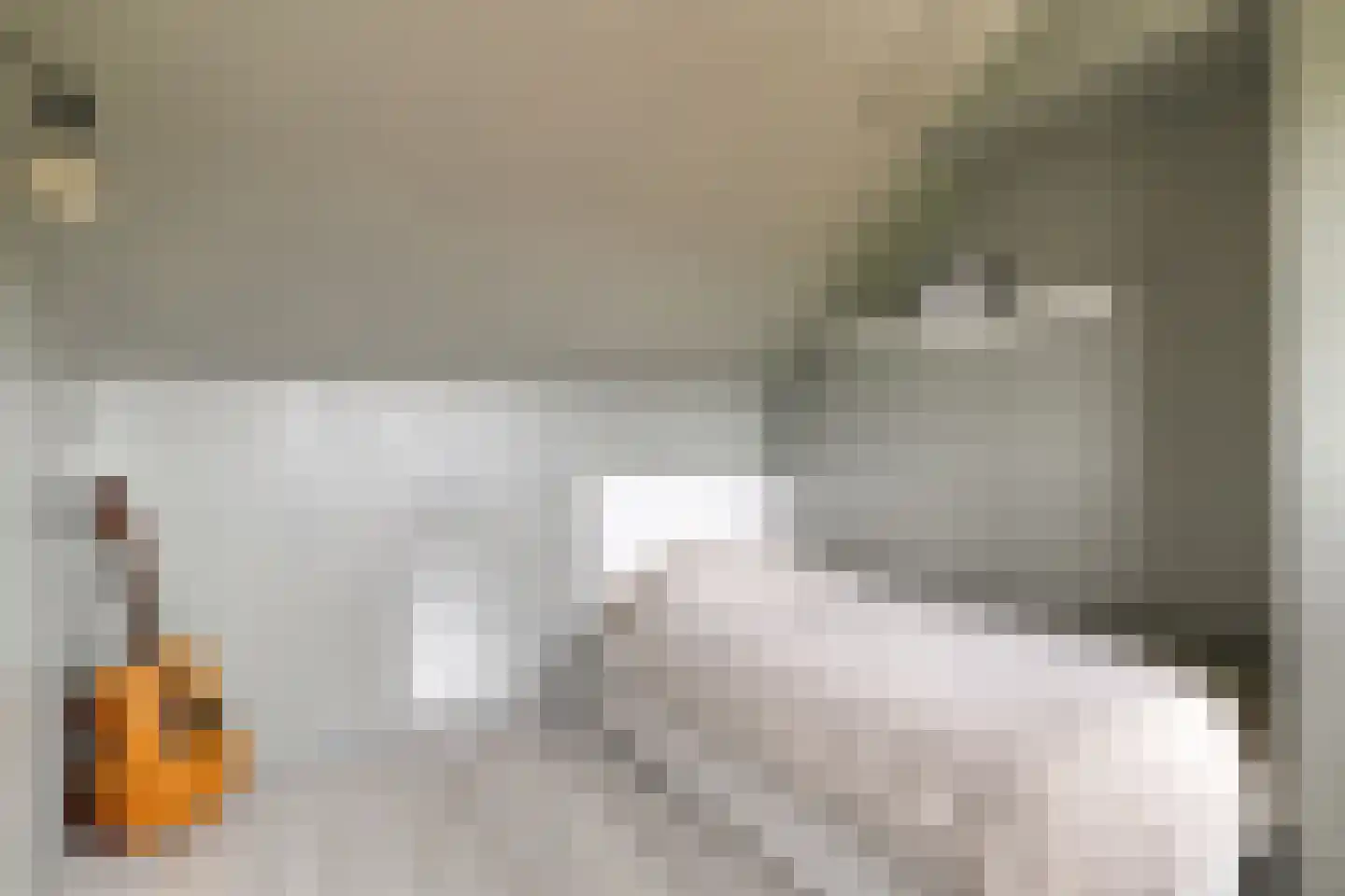 Robbeknolerf 45 Amersfoort thumbnail 35