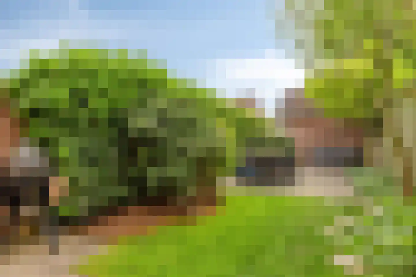 Robbeknolerf 45 Amersfoort thumbnail 4