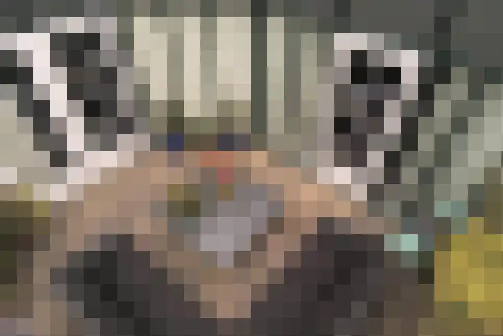 Robbenkoog 21 B Alkmaar thumbnail 16