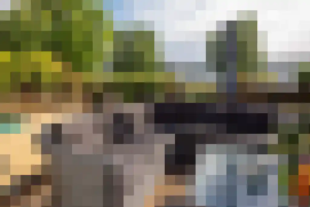 Robbenkoog 21 B Alkmaar thumbnail 19