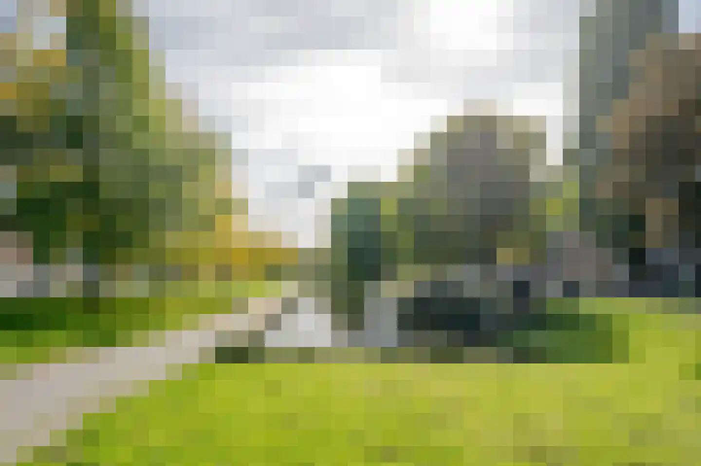 Robbenoordplein 5 A Rotterdam thumbnail 31