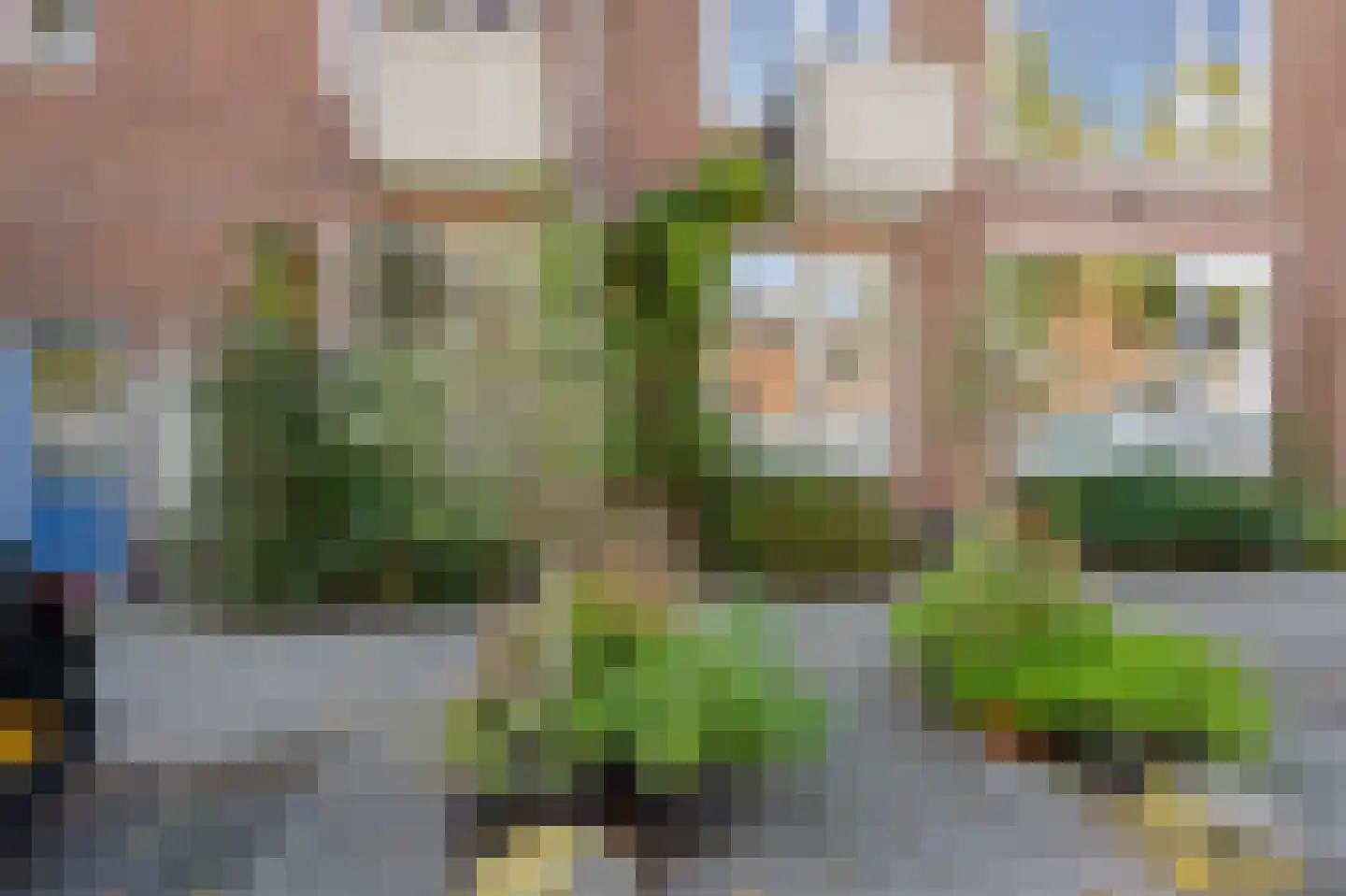 Robbenoordplein 5 A Rotterdam thumbnail 8