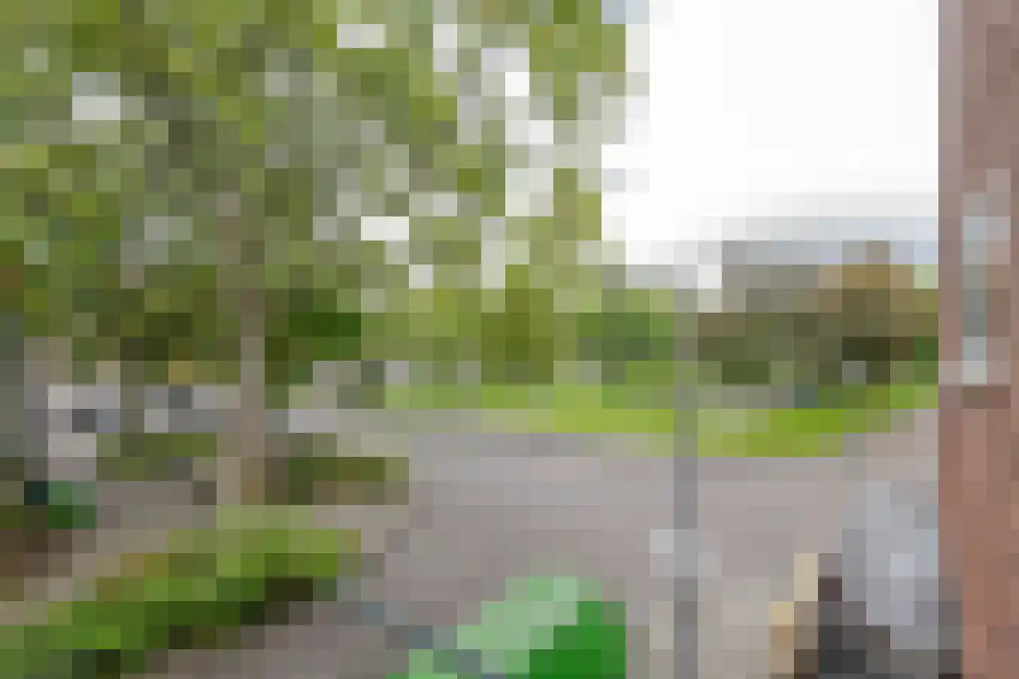 Robbenoordplein 7 A Rotterdam thumbnail 18
