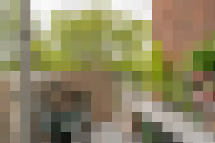 Robbenoordplein 7 B Rotterdam thumbnail 30