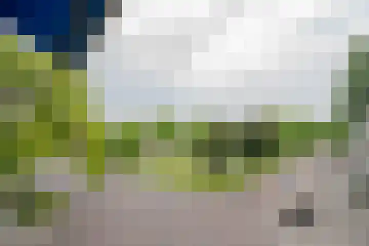 Robbenoordplein 7 B Rotterdam thumbnail 31