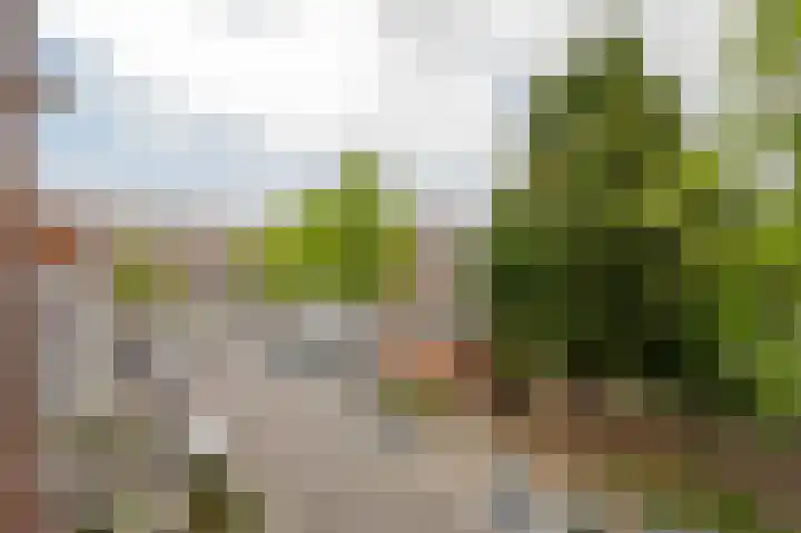Robbenoordplein 7 B Rotterdam thumbnail 32