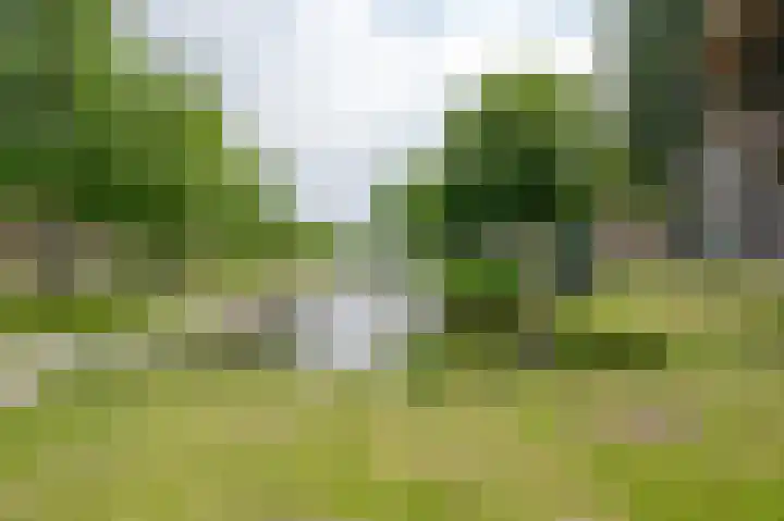 Robbenoordplein 7 B Rotterdam thumbnail 33