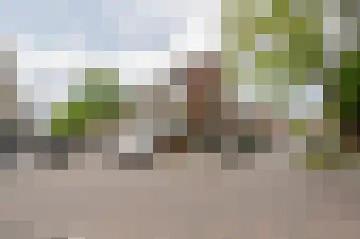 Robbenoordplein 7 B Rotterdam thumbnail 6