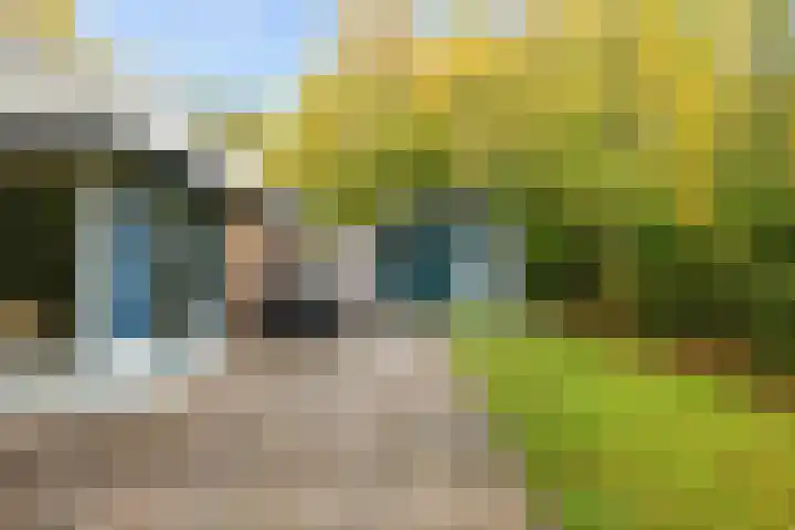 Robbenoort 11 Lauwersoog thumbnail 10