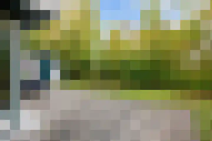 Robbenoort 11 Lauwersoog thumbnail 11