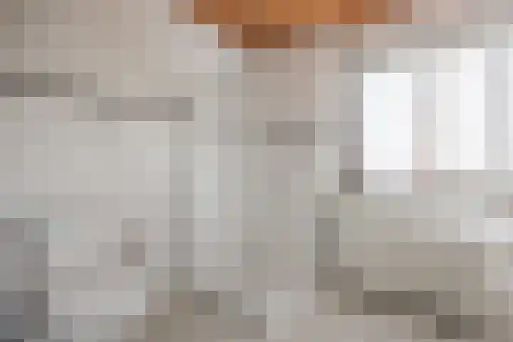 Robbenoort 11 Lauwersoog thumbnail 24