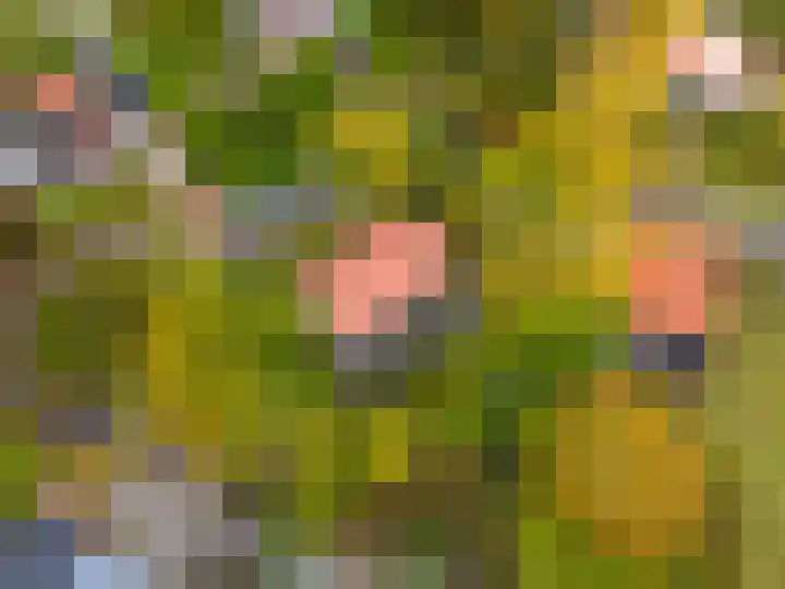 Robbenoort 11 Lauwersoog thumbnail 4