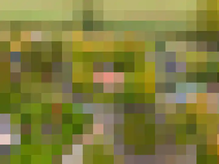 Robbenoort 11 Lauwersoog thumbnail 5