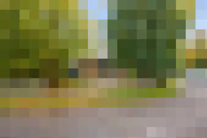 Robbenoort 11 Lauwersoog thumbnail 6