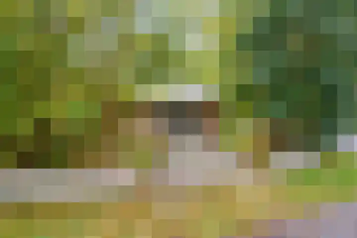Robbenoort 11 Lauwersoog thumbnail 7