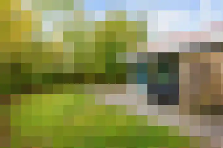 Robbenoort 11 Lauwersoog thumbnail 9