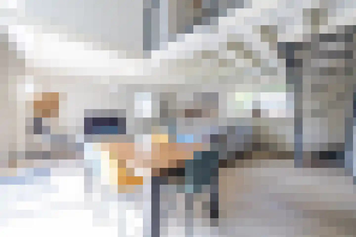 Robbenoort 127 Lauwersoog thumbnail 12