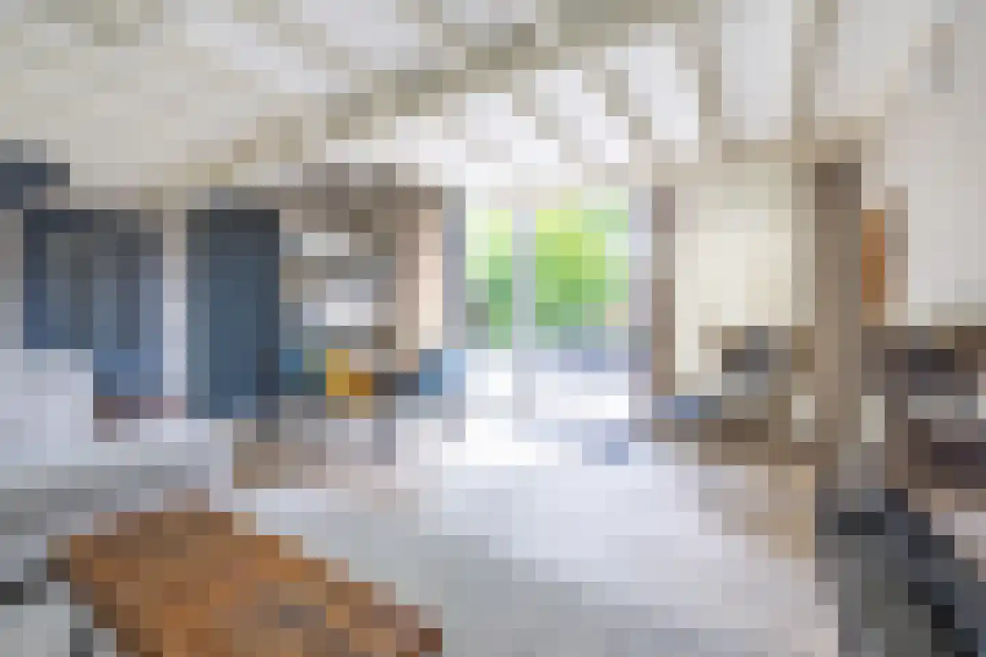 Robbenoort 127 Lauwersoog thumbnail 15