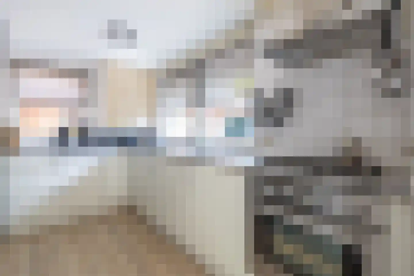 Robbenoort 127 Lauwersoog thumbnail 22