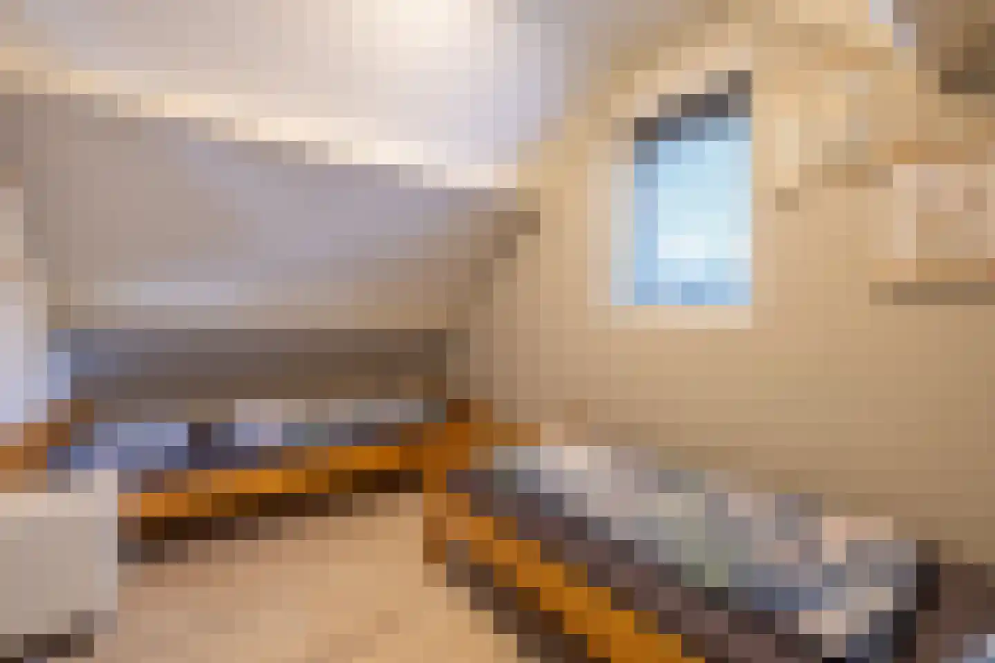 Robbenoort 127 Lauwersoog thumbnail 28