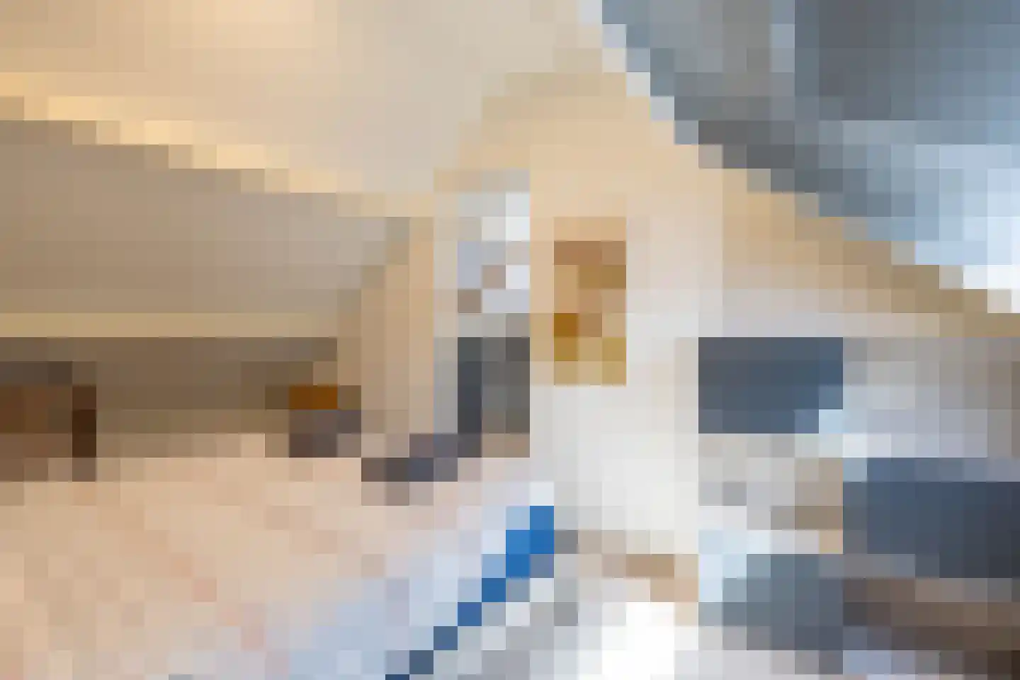Robbenoort 127 Lauwersoog thumbnail 31