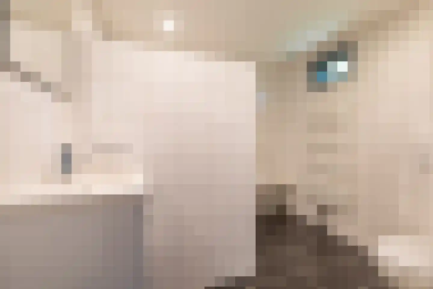 Robbenoort 127 Lauwersoog thumbnail 45