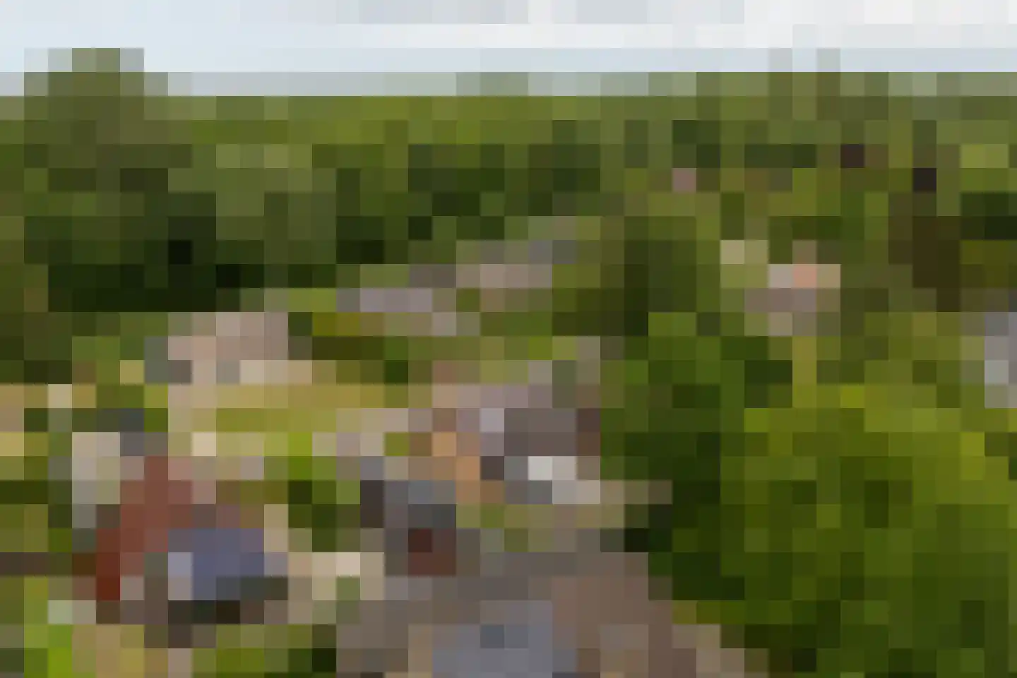 Robbenoort 127 Lauwersoog thumbnail 57