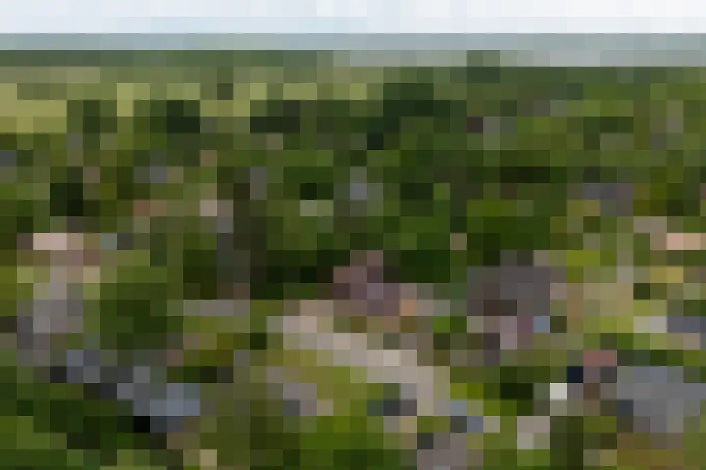 Robbenoort 127 Lauwersoog thumbnail 58