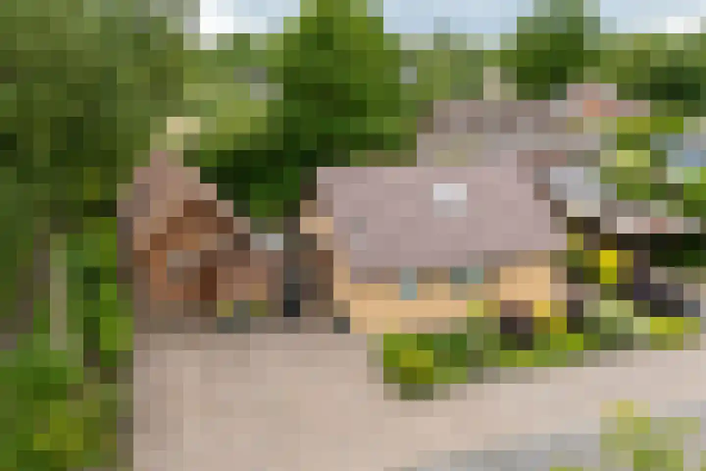 Robbenoort 127 Lauwersoog thumbnail 6