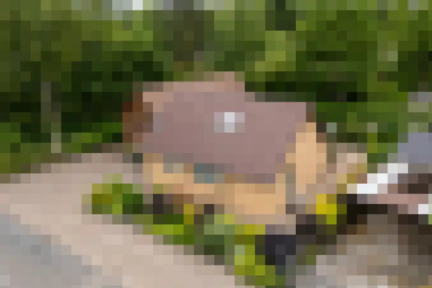 Robbenoort 127 Lauwersoog thumbnail 7