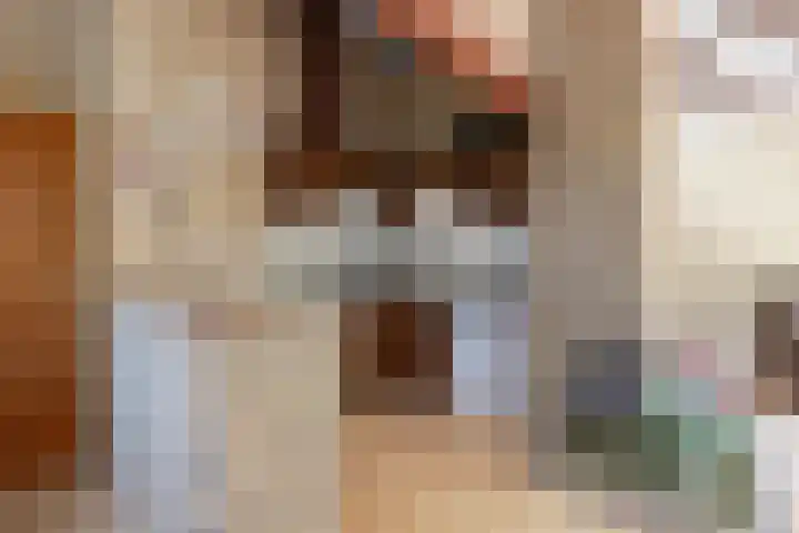 Robbenoort 131 Lauwersoog thumbnail 10