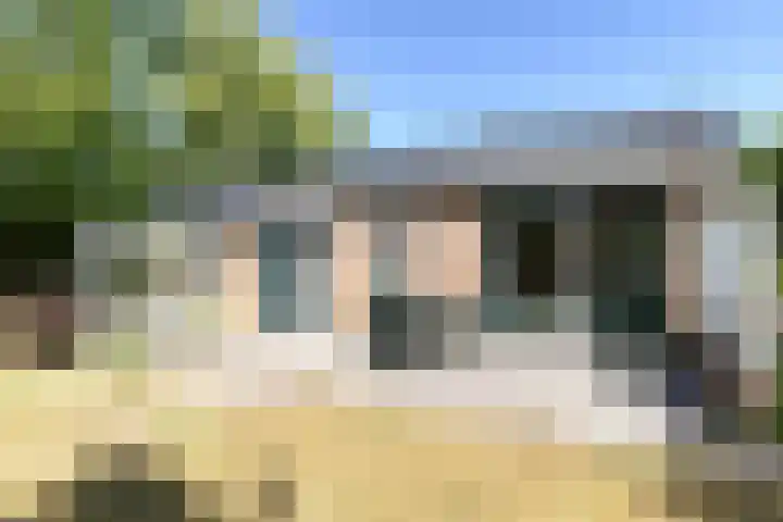 Robbenoort 131 Lauwersoog thumbnail 17