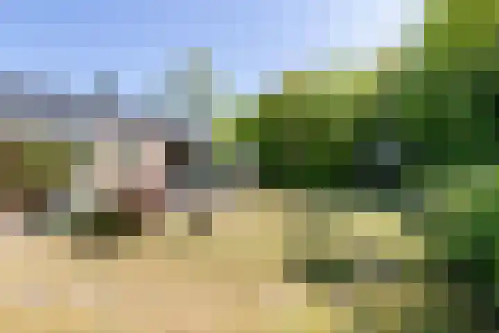 Robbenoort 131 Lauwersoog thumbnail 18
