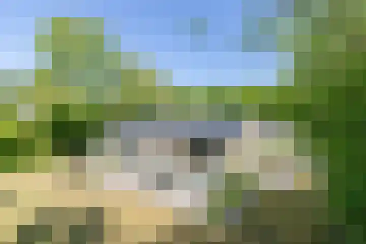 Robbenoort 131 Lauwersoog foto 2