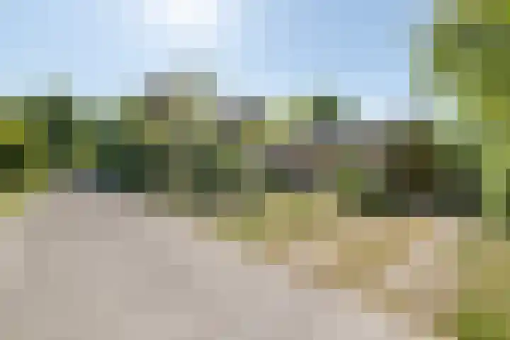 Robbenoort 131 Lauwersoog thumbnail 20