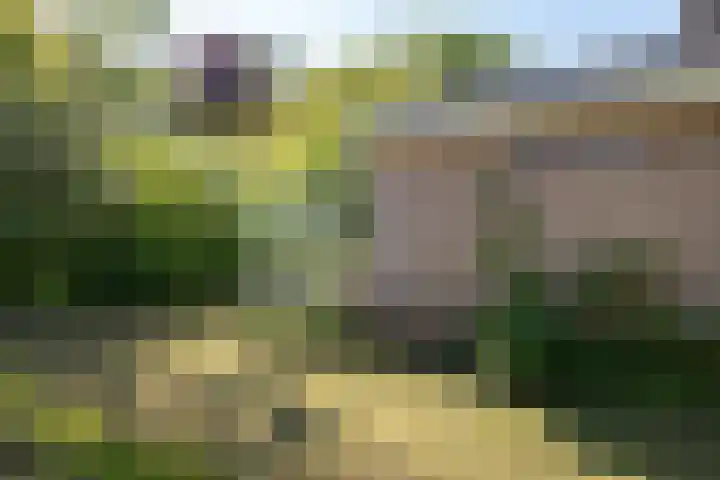 Robbenoort 131 Lauwersoog thumbnail 21