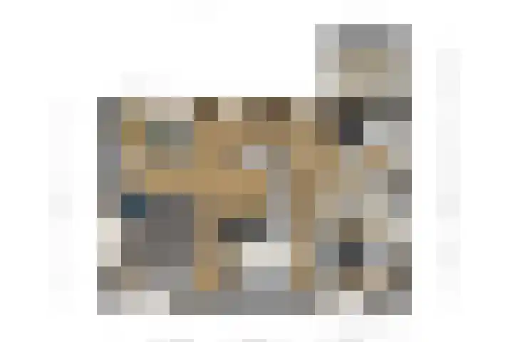 Robbenoort 131 Lauwersoog thumbnail 24